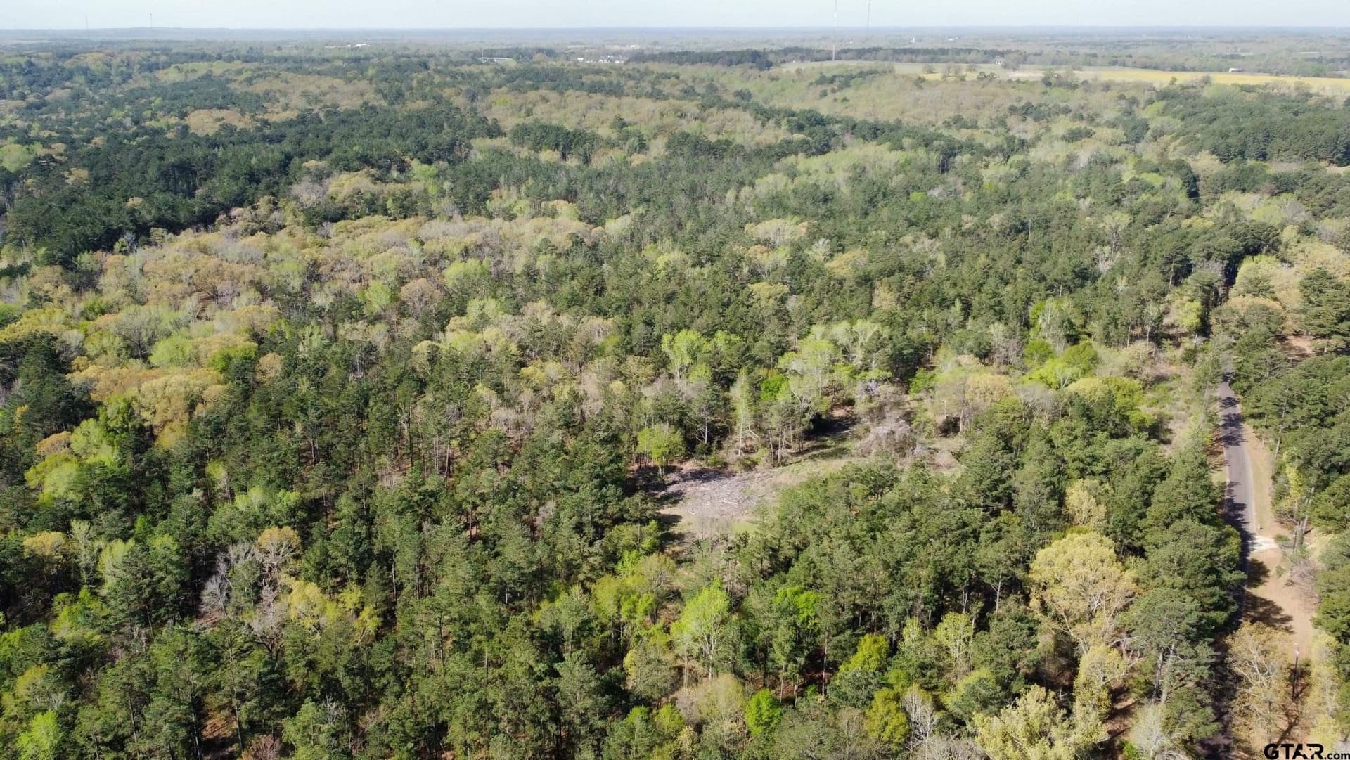 74.45 acres in Smith County - photo 24