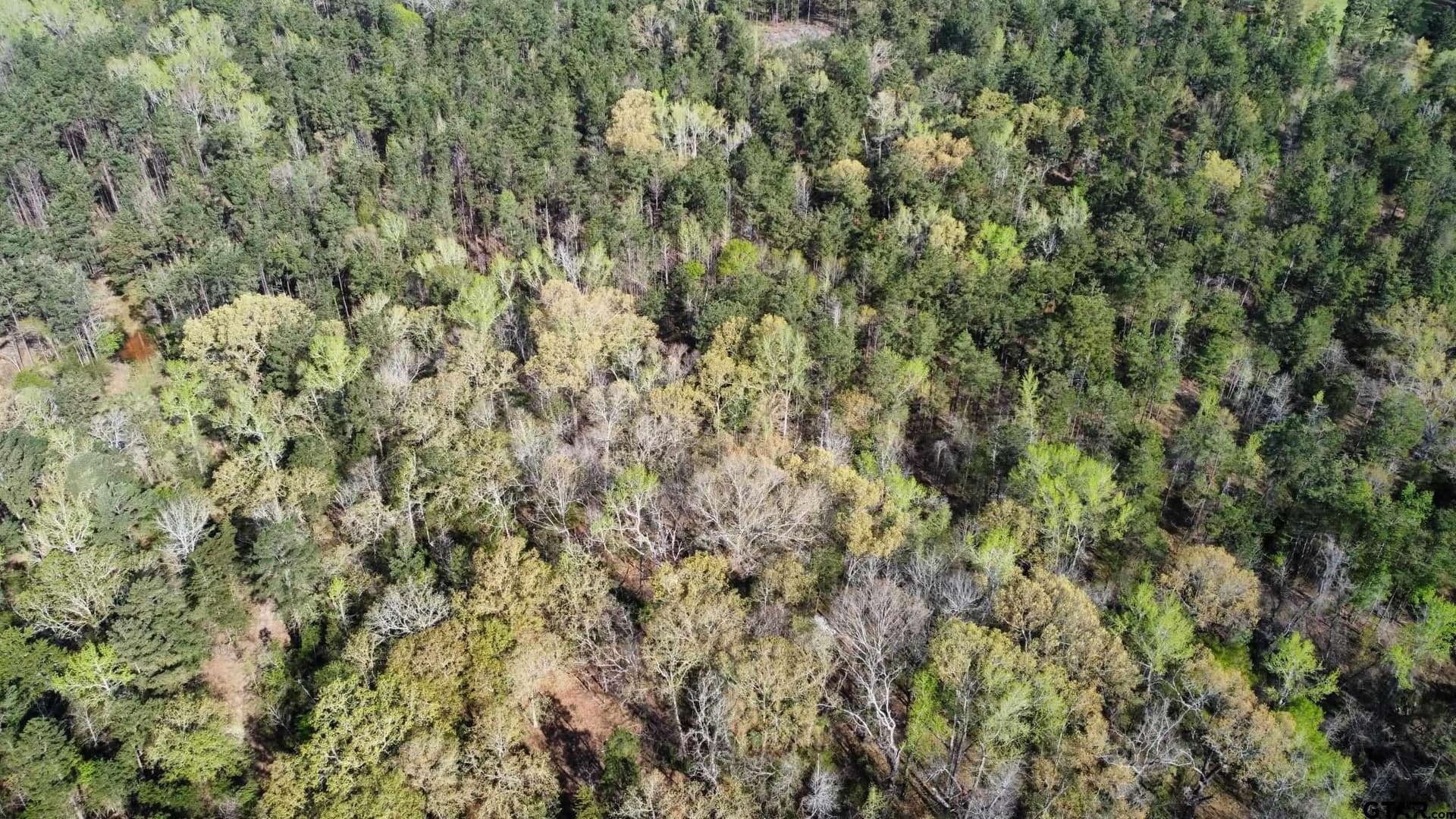 74.45 acres in Smith County - photo 20