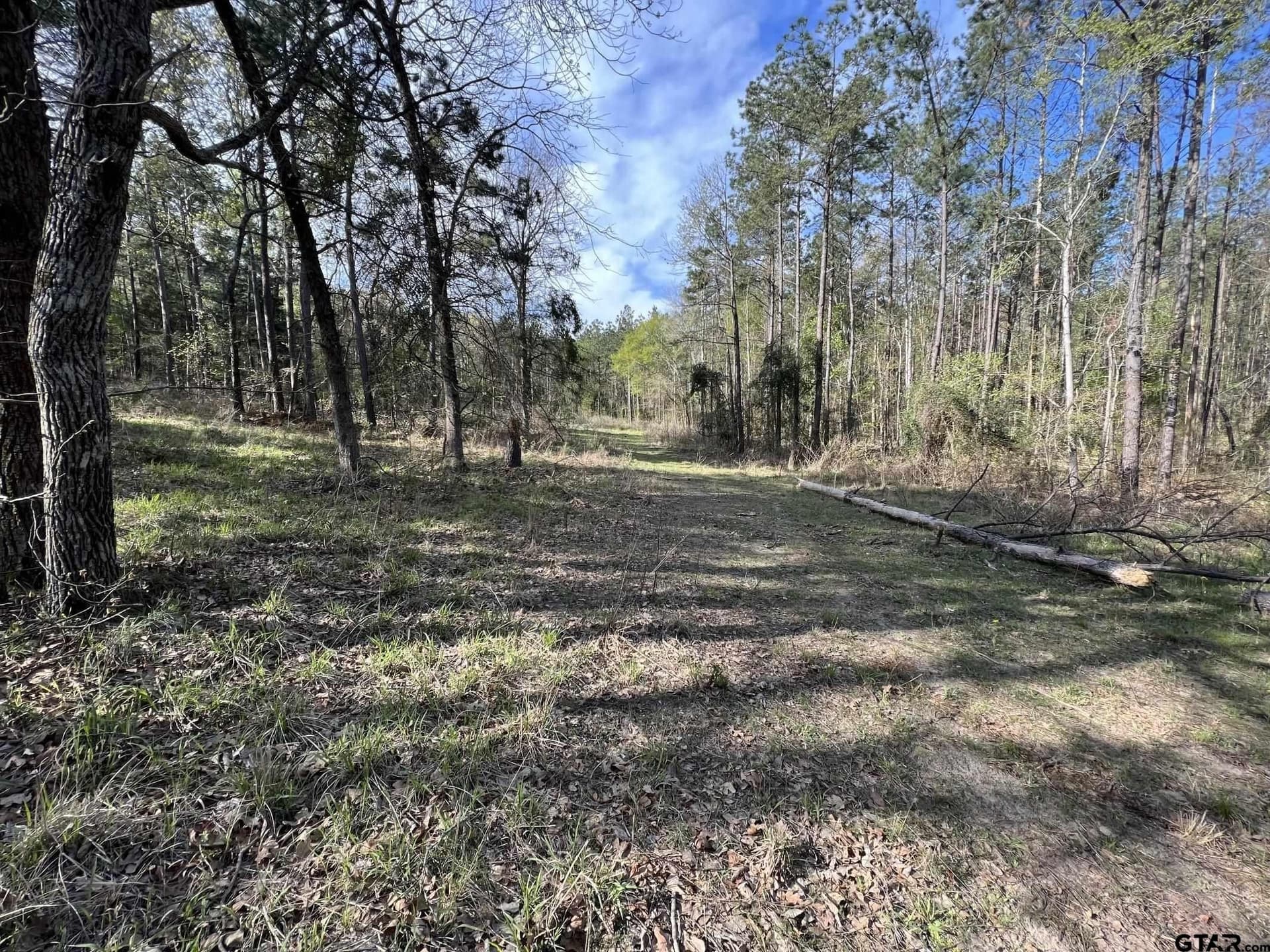 74.45 acres in Smith County - photo 10