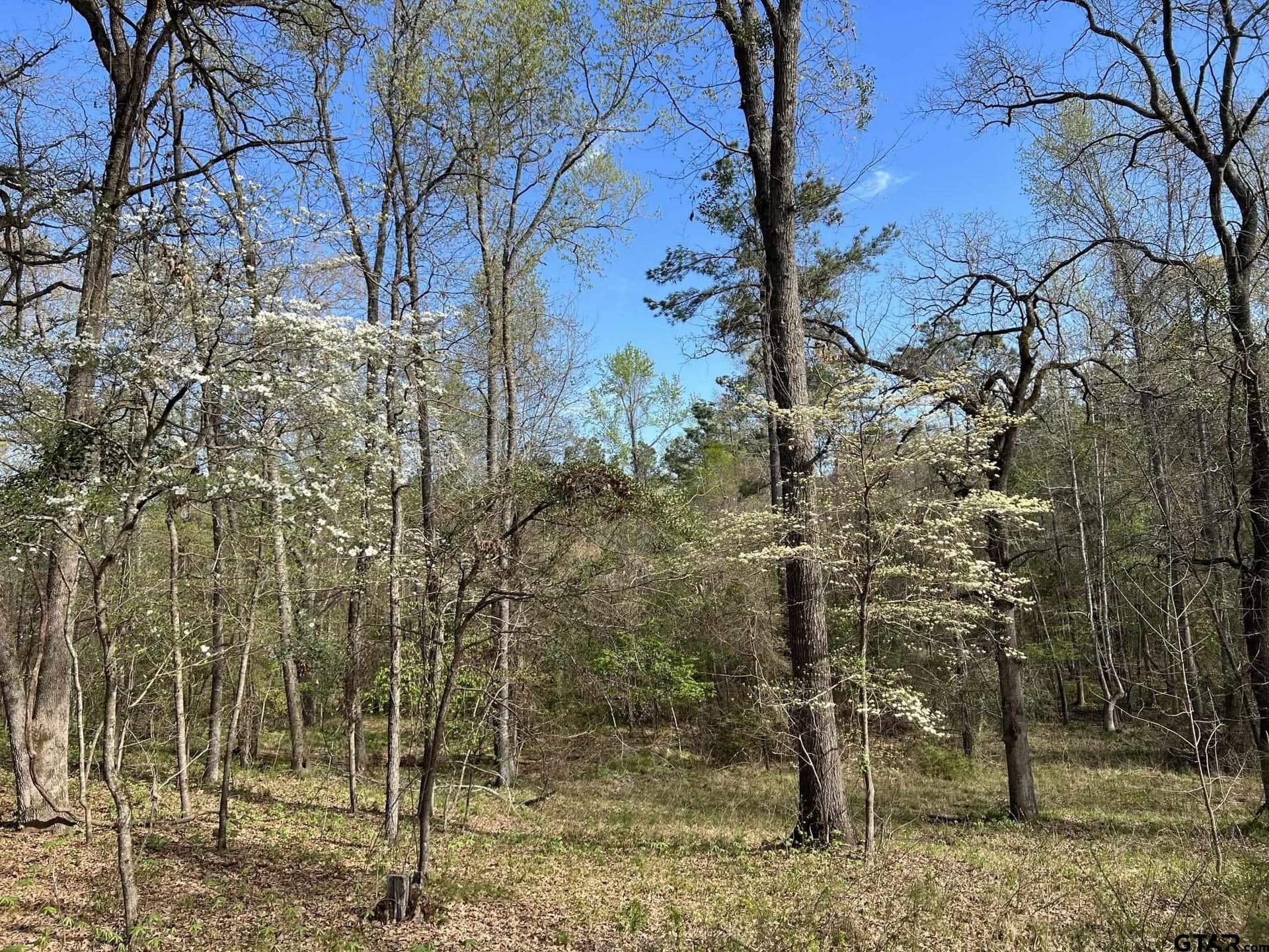 74.45 acres in Smith County - photo 6