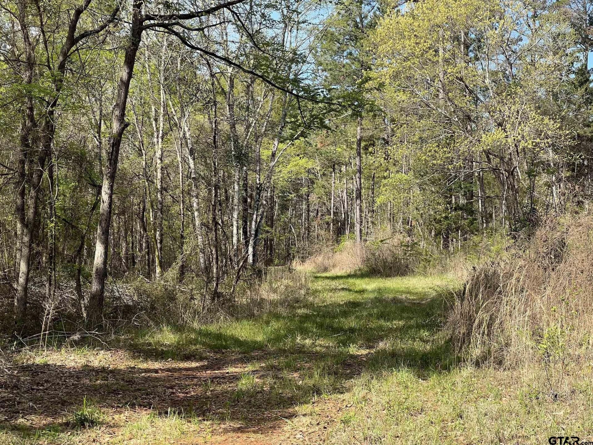 74.45 acres in Smith County - photo 16
