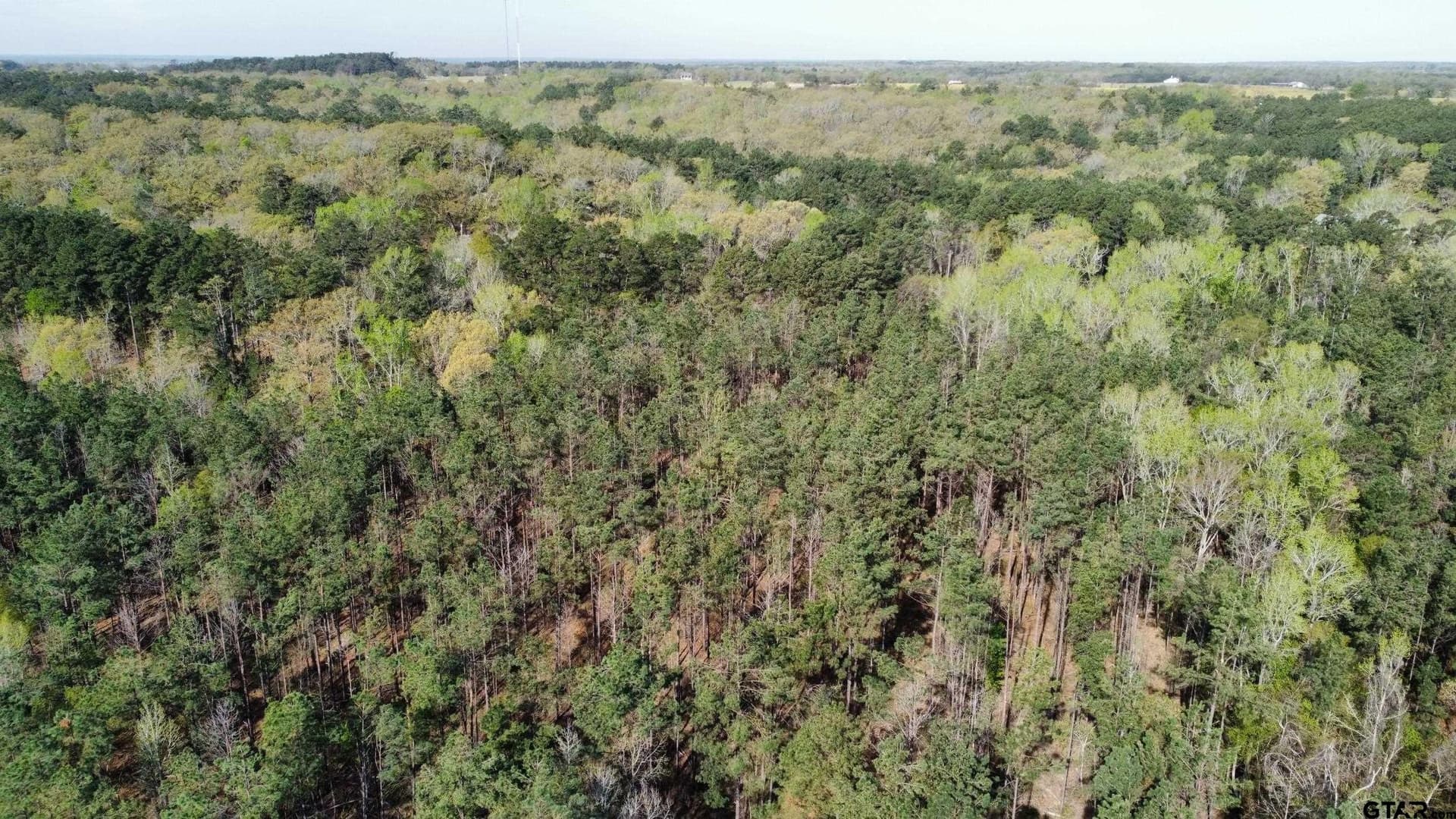 74.45 acres in Smith County - photo 22