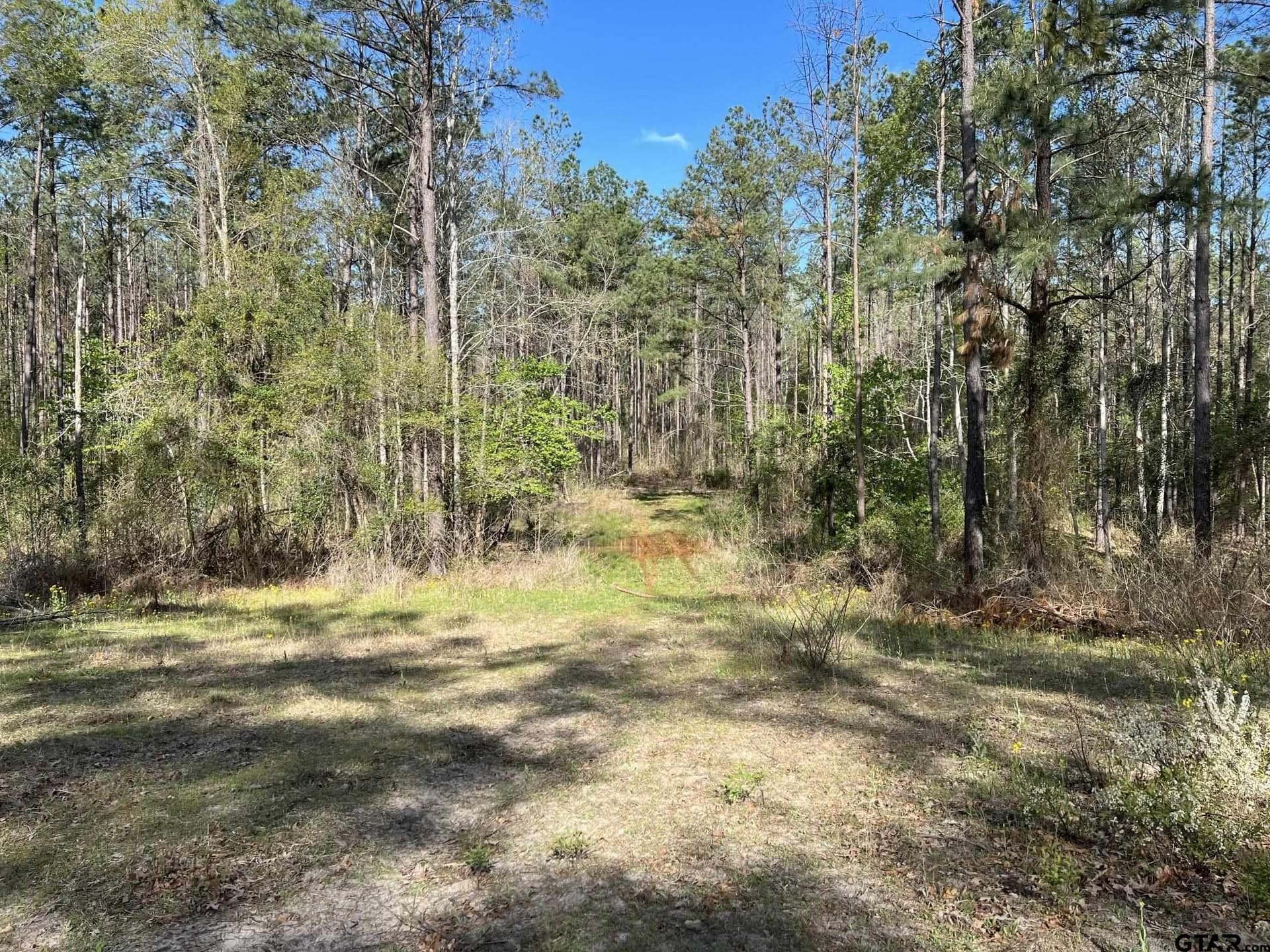 74.45 acres in Smith County - photo 11