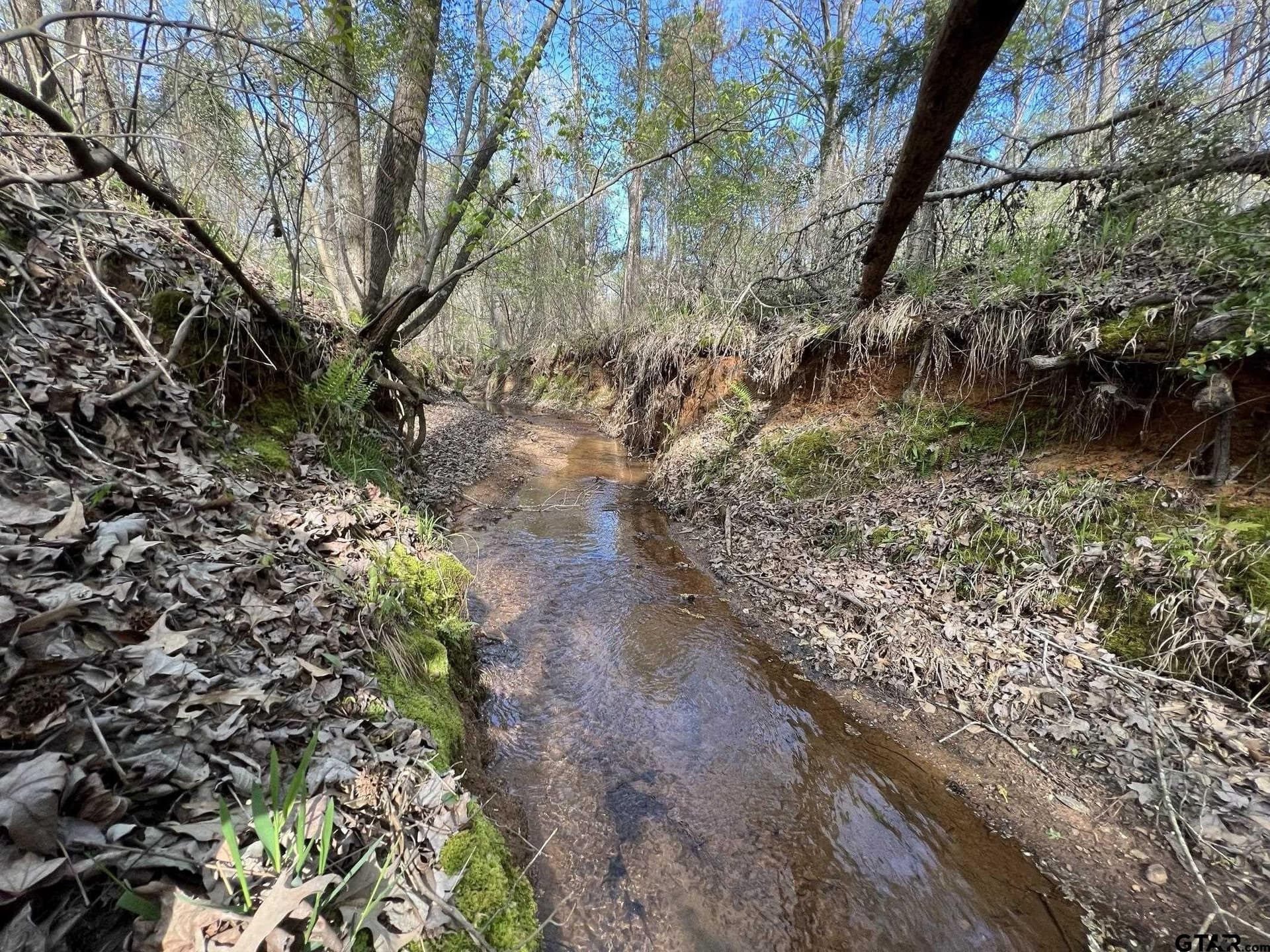 74.45 acres in Smith County - photo 5
