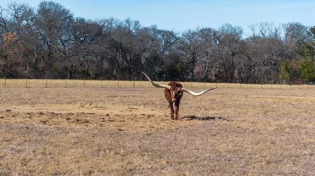 5.58 acres in Parker County - photo 13
