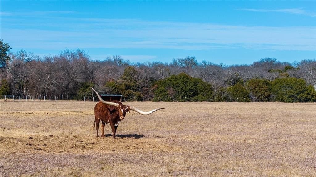 5.58 acres in Parker County - photo 14