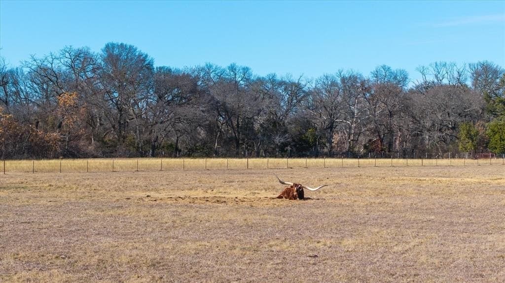 5.58 acres in Parker County - photo 12