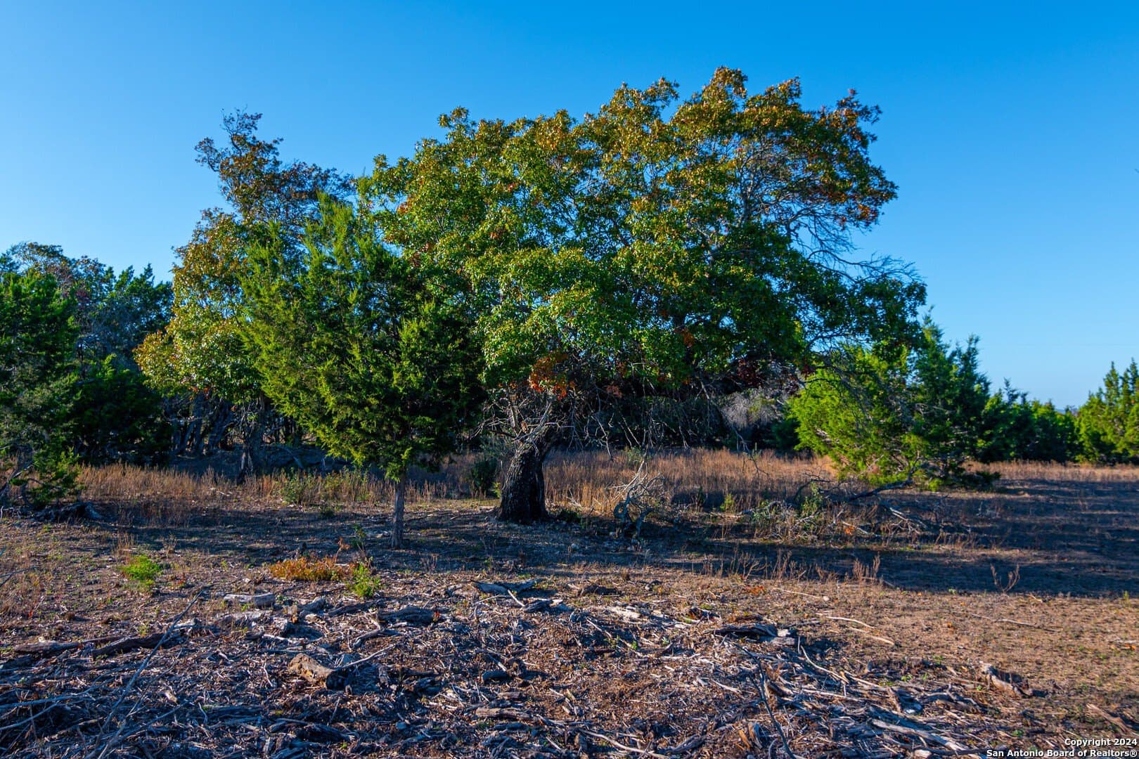 0 acres in Blanco County - photo 8