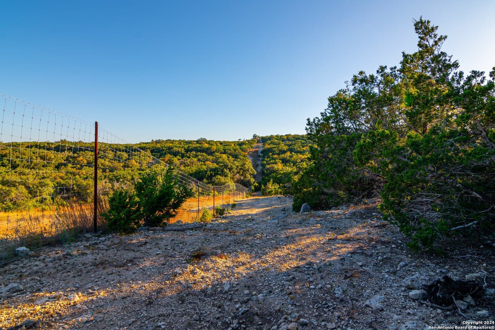 0 acres in Blanco County - photo 11