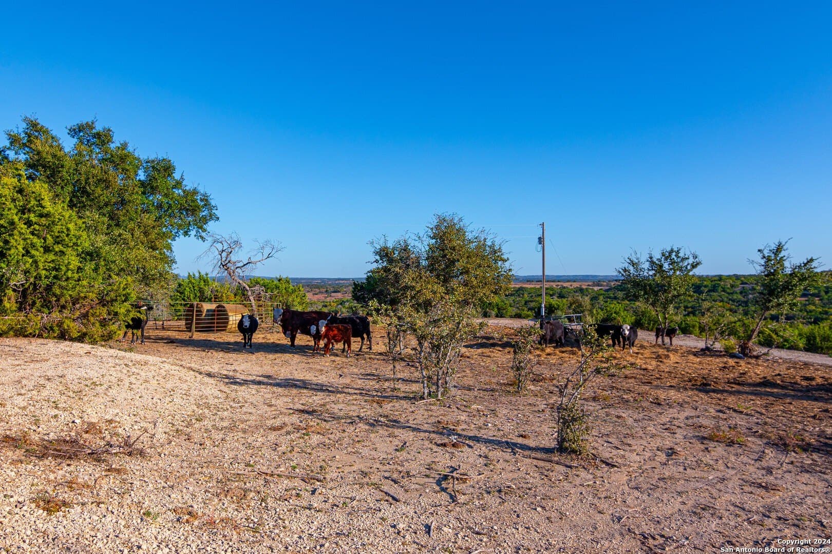 0 acres in Blanco County - photo 9