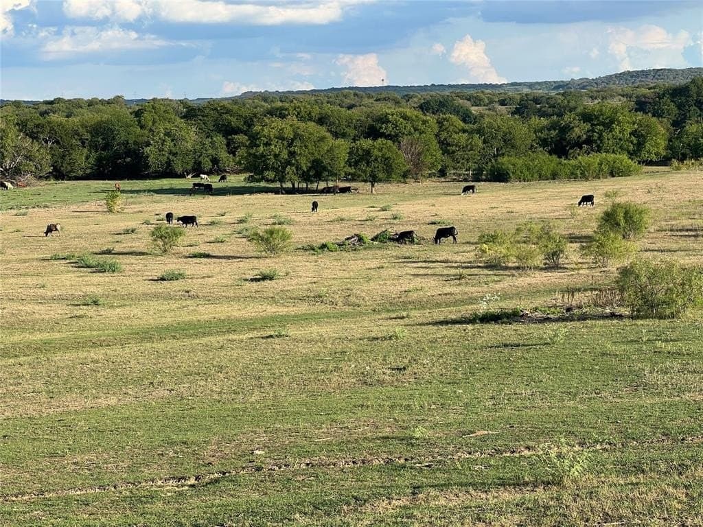 10.07 acres in Hill County - photo 4