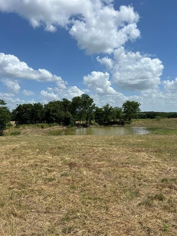 10.07 acres in Hill County - photo 3