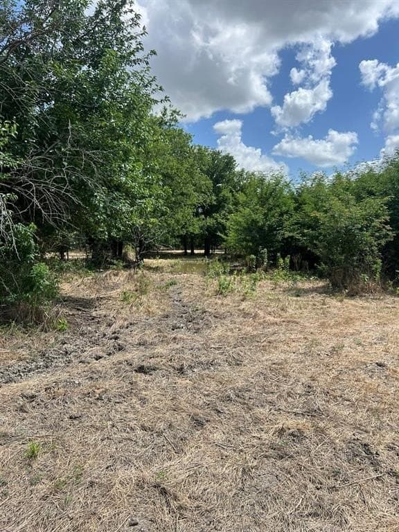 10.07 acres in Hill County - photo 6