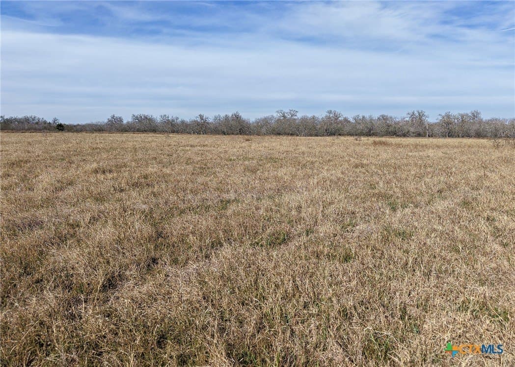 6.65 acres in Gonzales County - photo 7