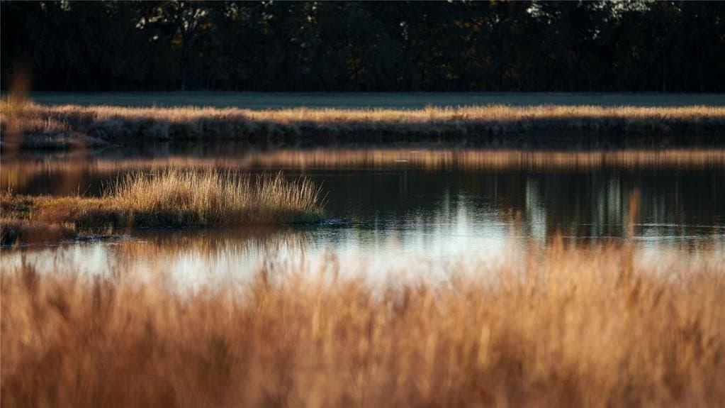 920 acres in Wise County - photo 39