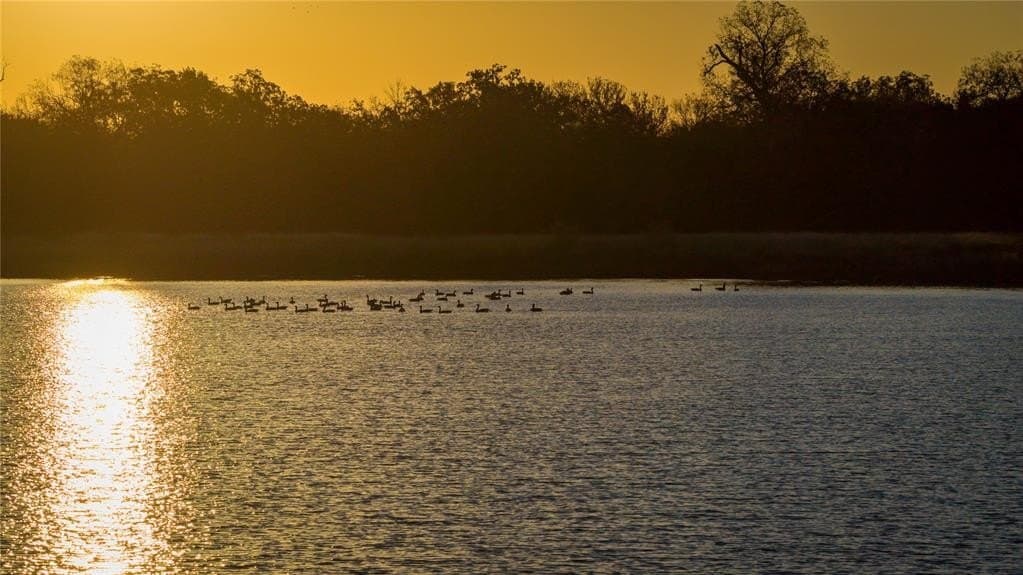 920 acres in Wise County - photo 5