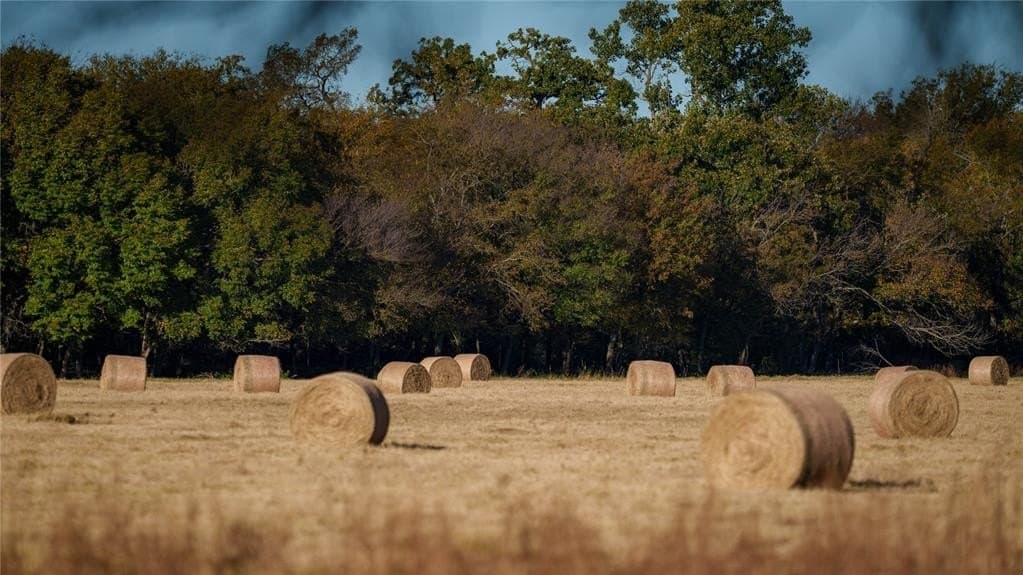 920 acres in Wise County - photo 18