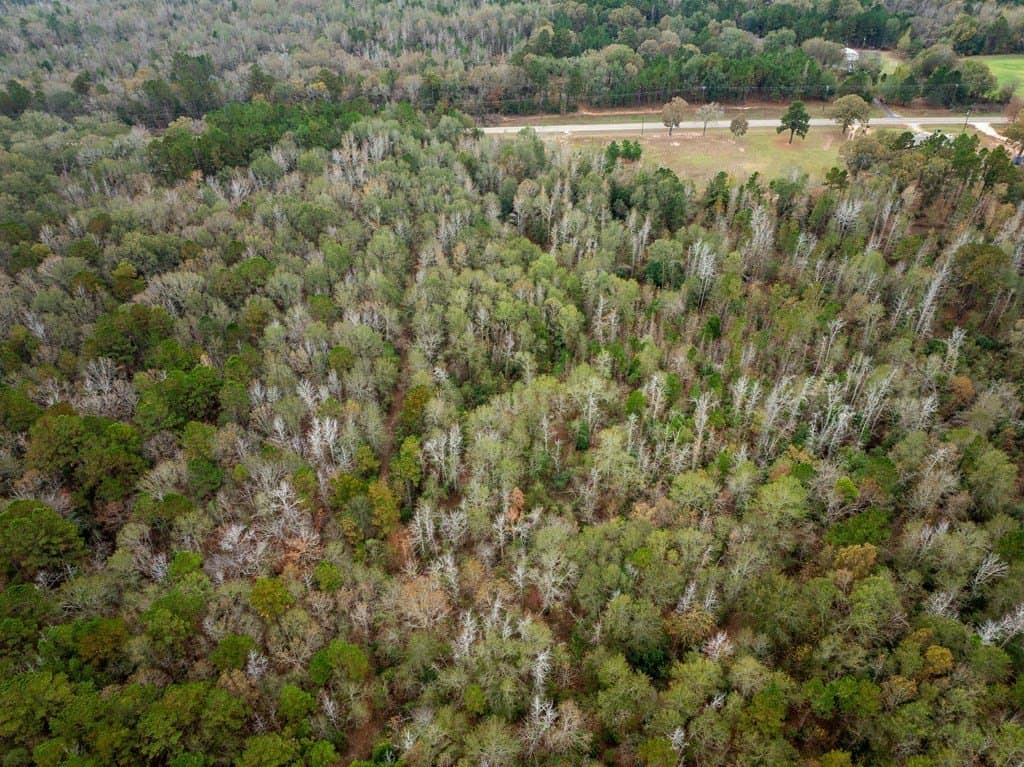 2 acres in ANDERSON County - photo 11