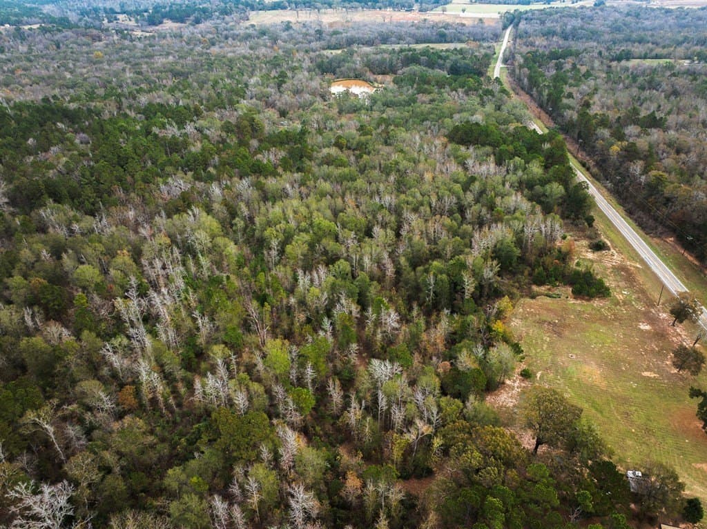 2 acres in ANDERSON County - photo 10