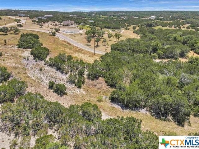 5 acres in Burnet County - photo 3