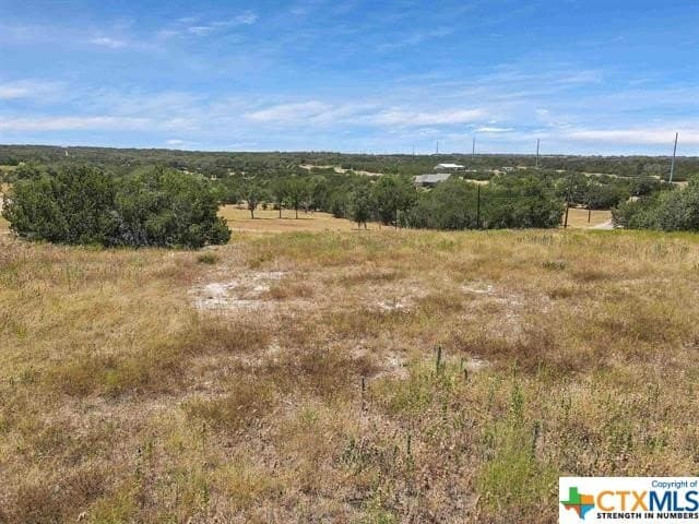 5 acres in Burnet County - photo 4