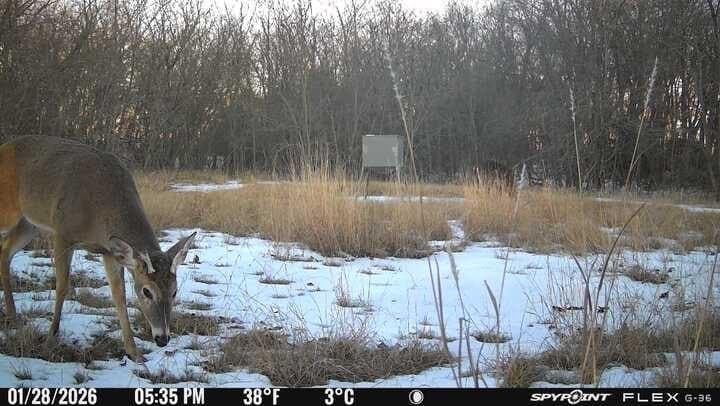 100.57 acres in Delta County - photo 30