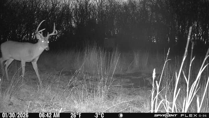 100.57 acres in Delta County - photo 28