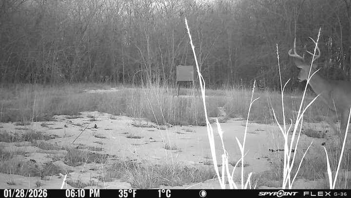 100.57 acres in Delta County - photo 29