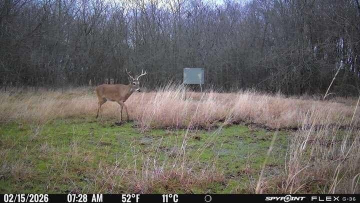 100.57 acres in Delta County - photo 31