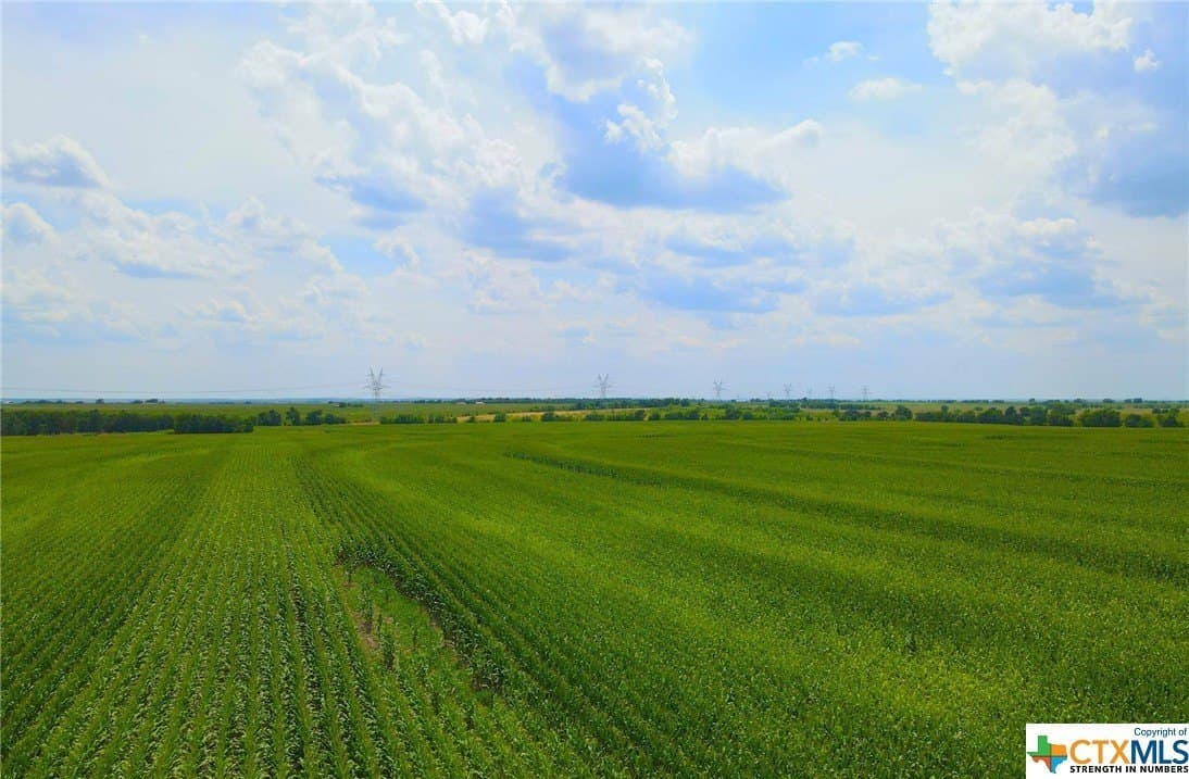 10.49 acres in Milam County - photo 3