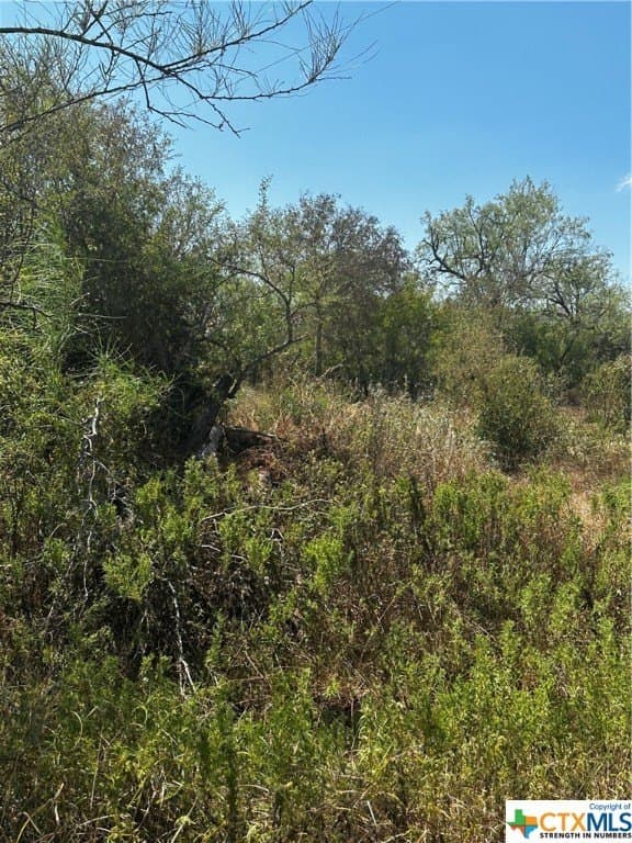 5.7 acres in Wilson County - photo 3