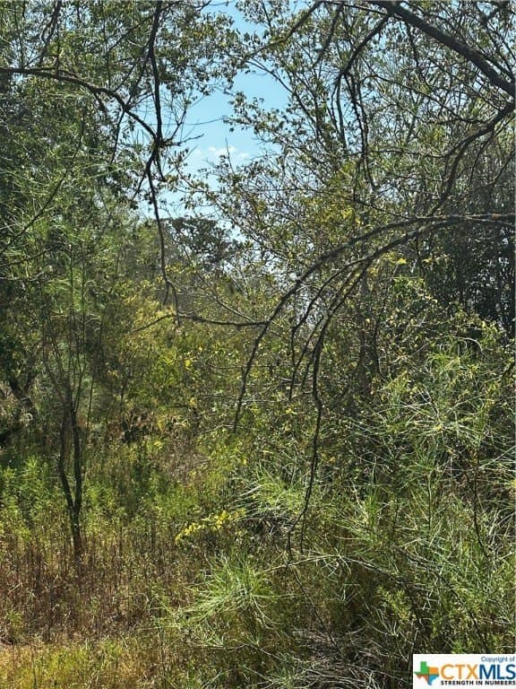 5.7 acres in Wilson County - photo 4