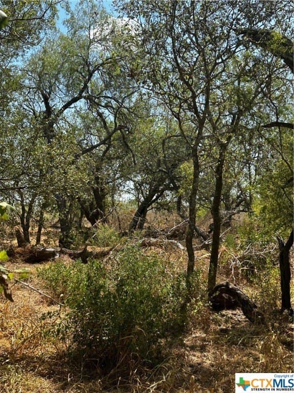 5958 County Road 405 lot: 8