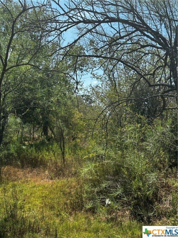5.7 acres in Wilson County - photo 2