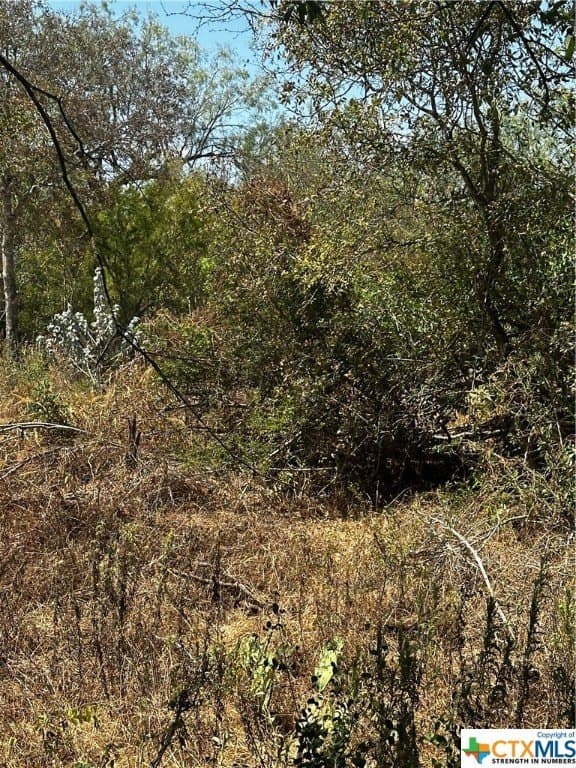 5.7 acres in Wilson County - photo 6
