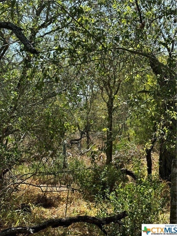 5.7 acres in Wilson County - photo 5
