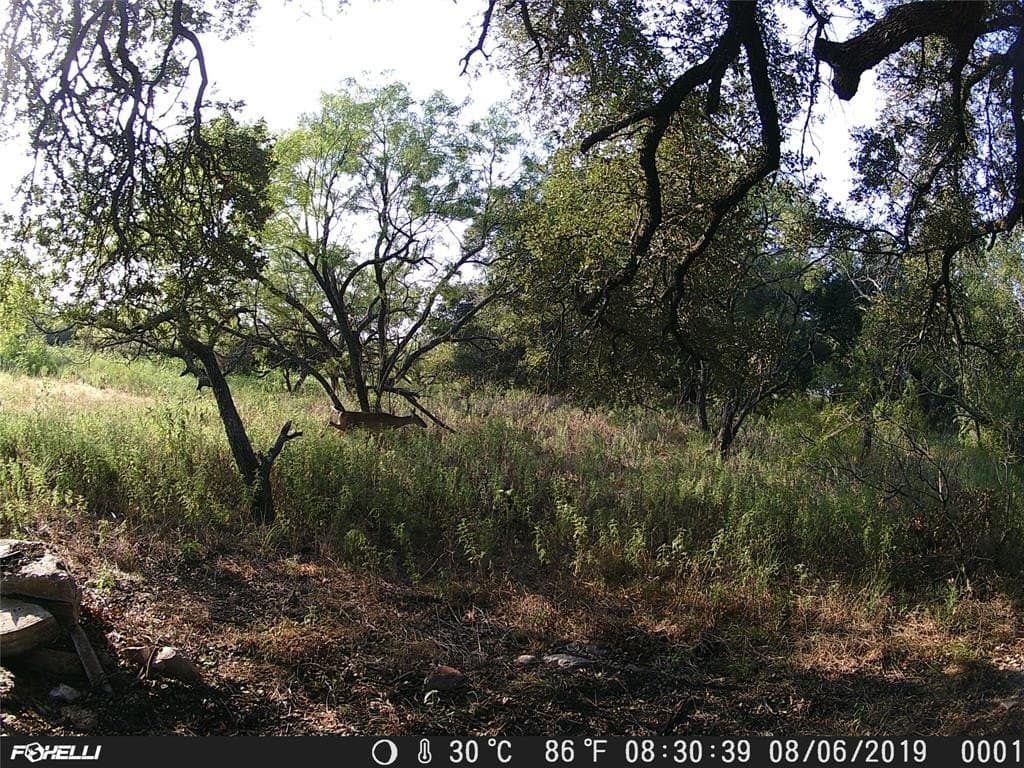 66.85 acres in Bosque County - photo 7