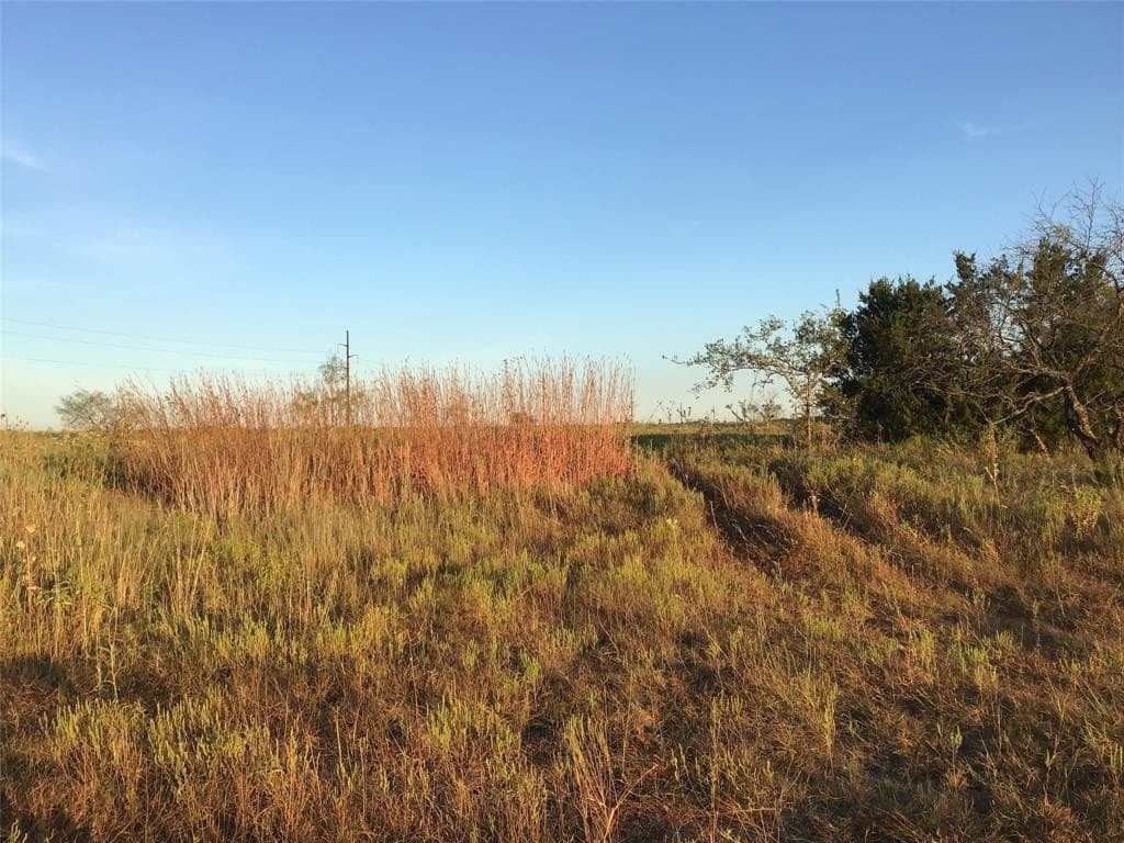 66.85 acres in Bosque County - photo 3