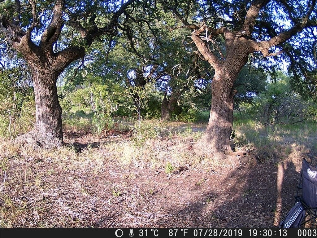 66.85 acres in Bosque County - photo 8