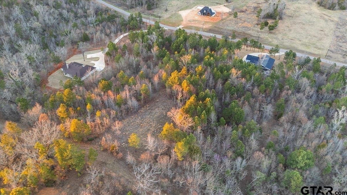3 acres in Smith County - photo 11