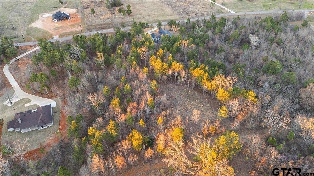 3 acres in Smith County - photo 12