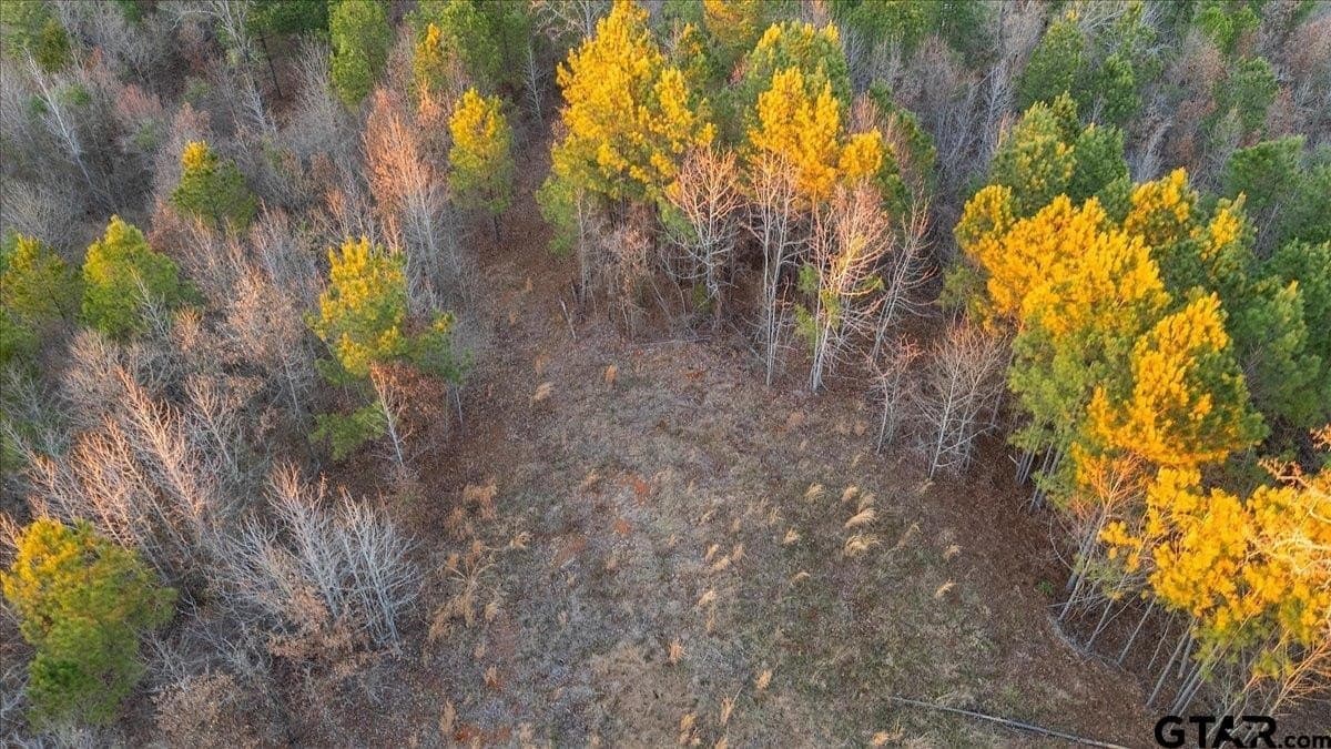 3 acres in Smith County - photo 10