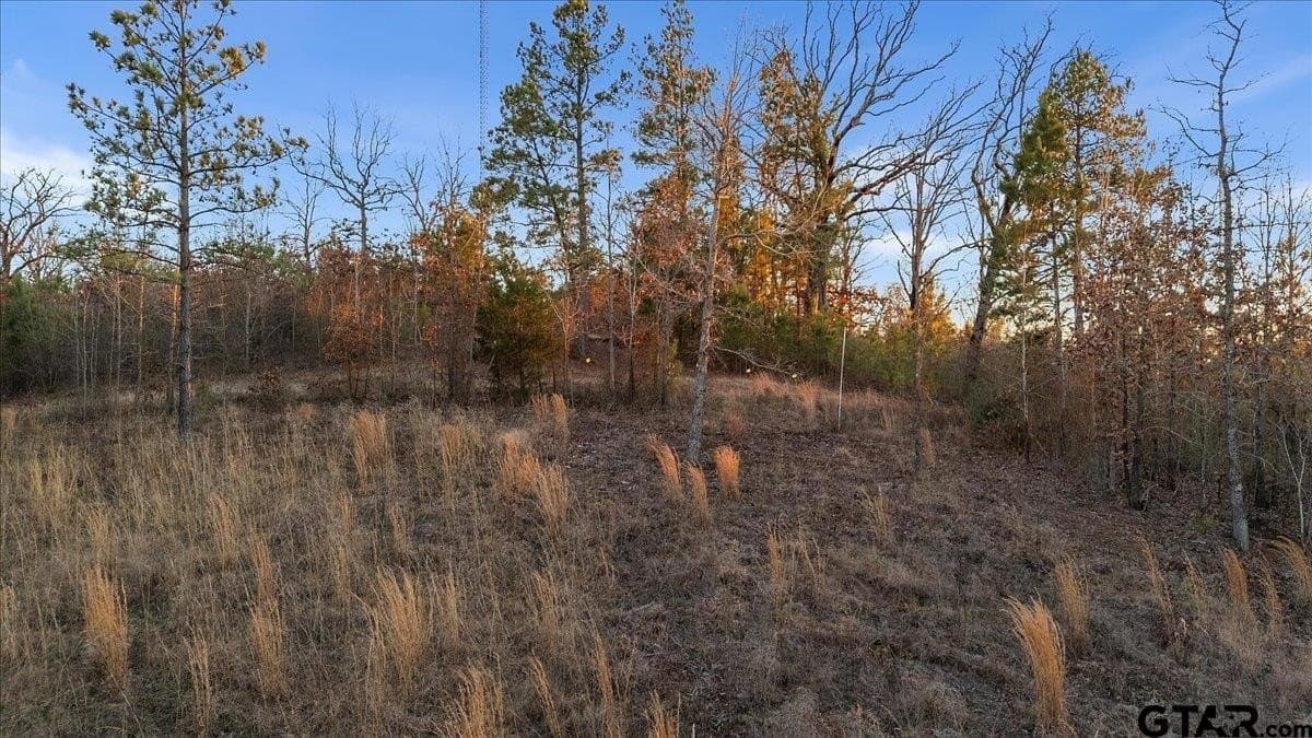 3 acres in Smith County - photo 9