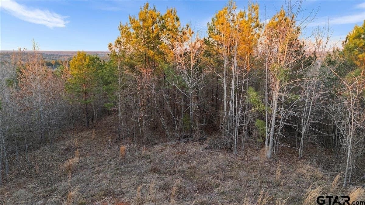 3 acres in Smith County - photo 8