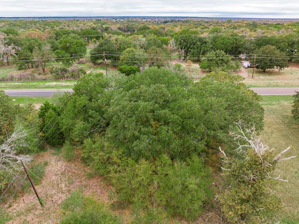 0.2 acres in Henderson County - photo 11