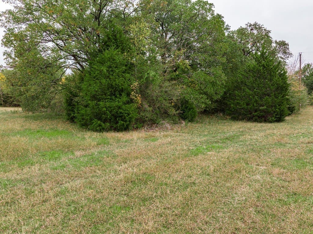0.2 acres in Henderson County - photo 9