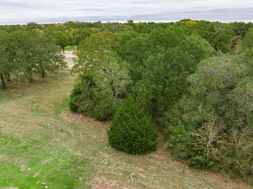 0.2 acres in Henderson County - photo 6