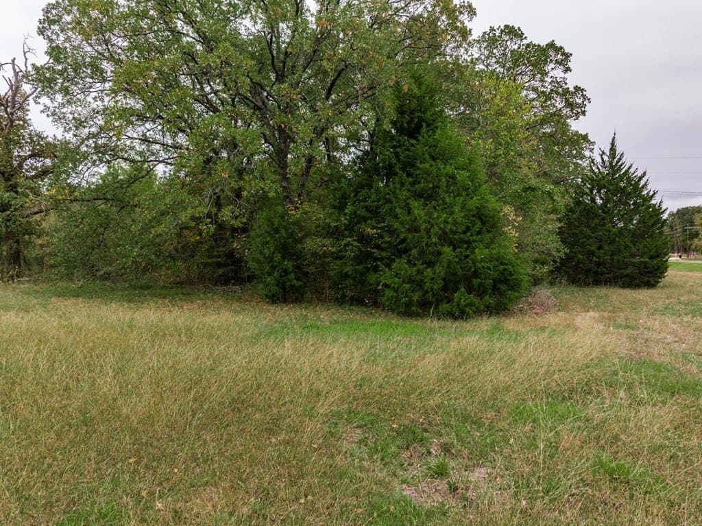 0.2 acres in Henderson County - photo 10