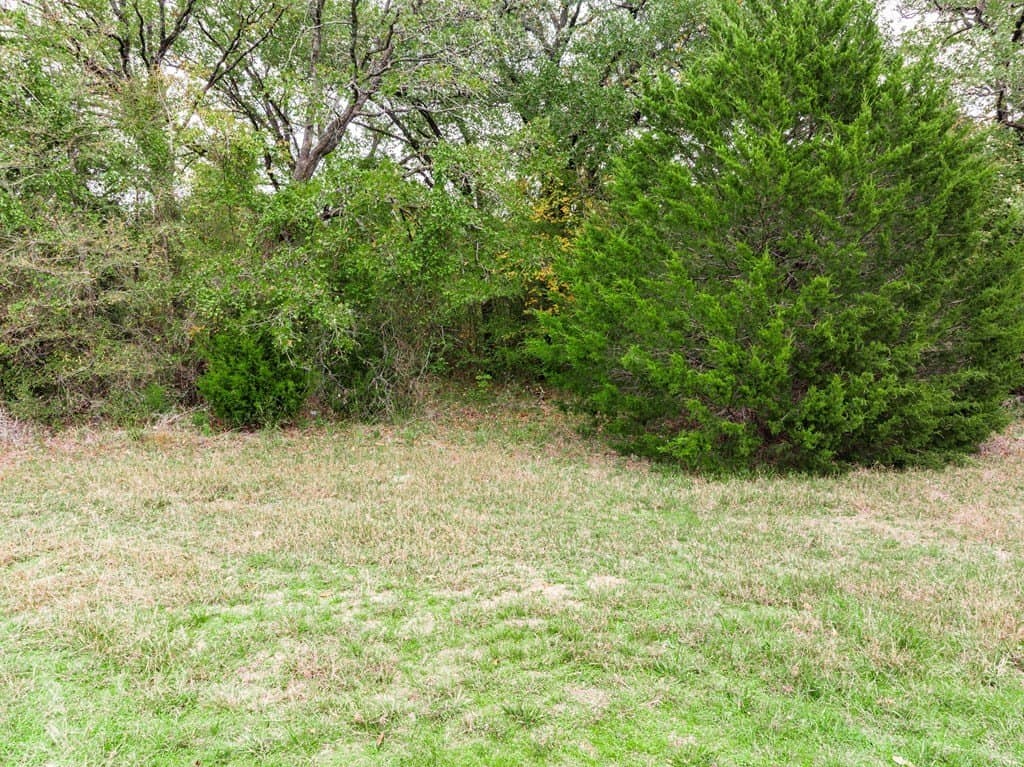0.2 acres in Henderson County - photo 7