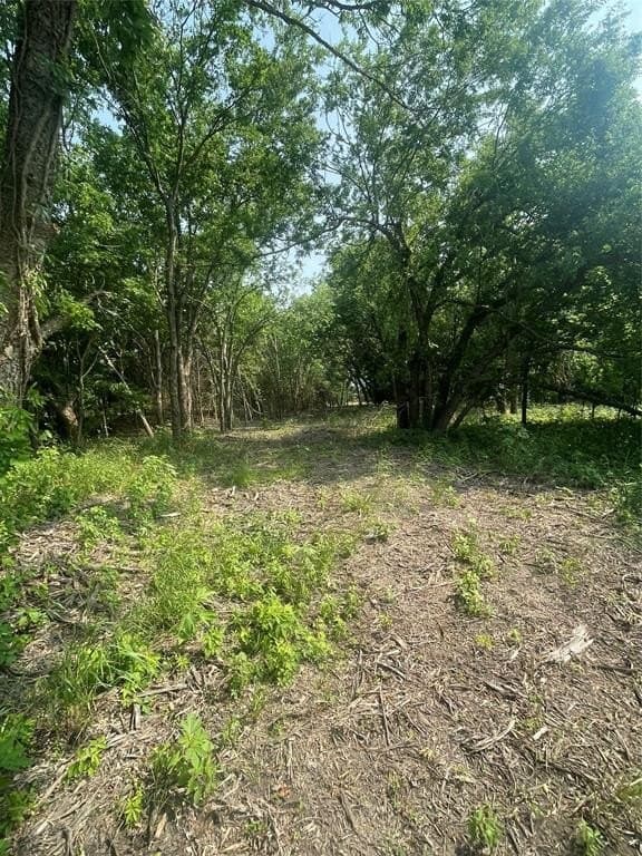 11.85 acres in Hunt County - photo 5